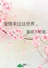 爱情来过这世界 、